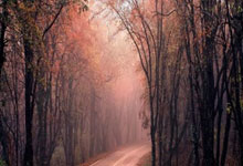 美联储降息“惊喜”变“惊吓”：比特币暴跌110k，加密市场何去何从？