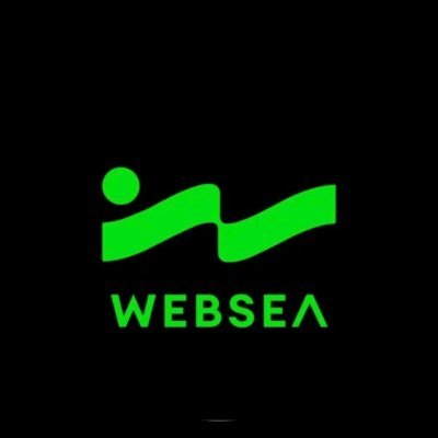 华为设备安装 WebSea APP 指南